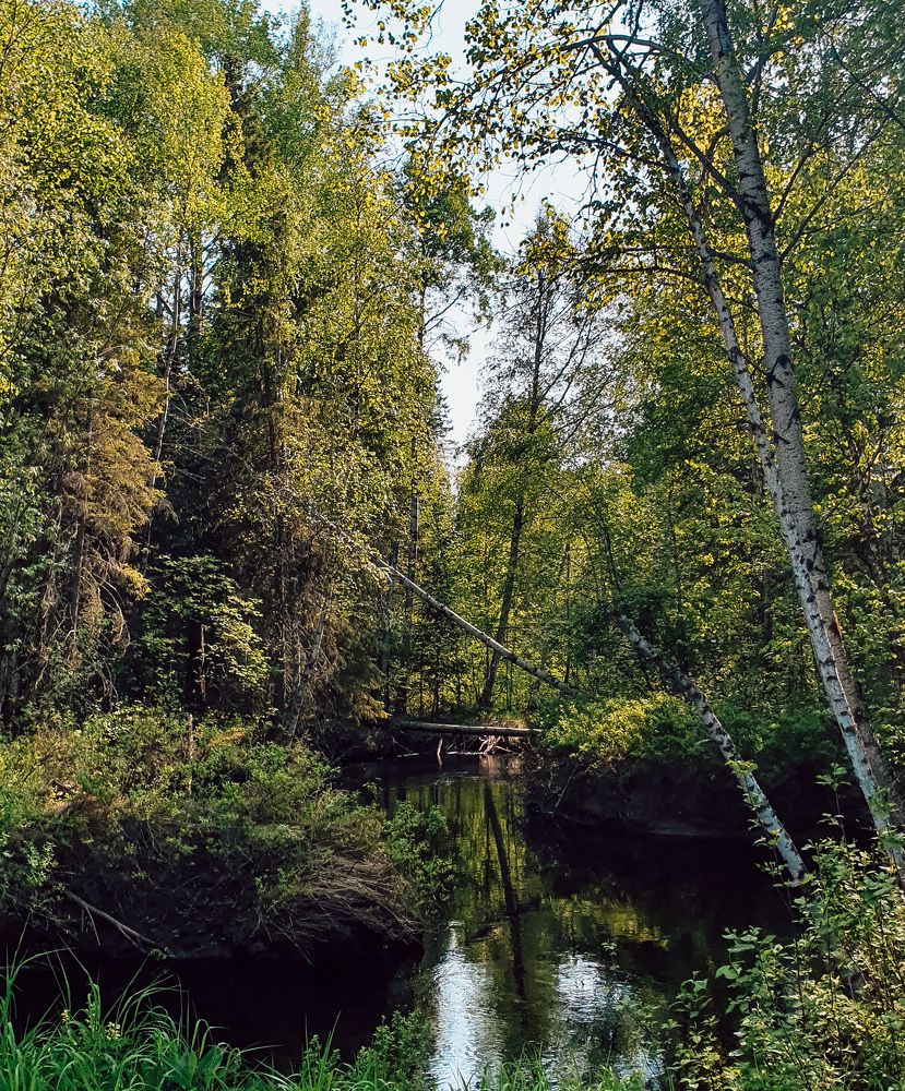 Photograph by Галина Примук