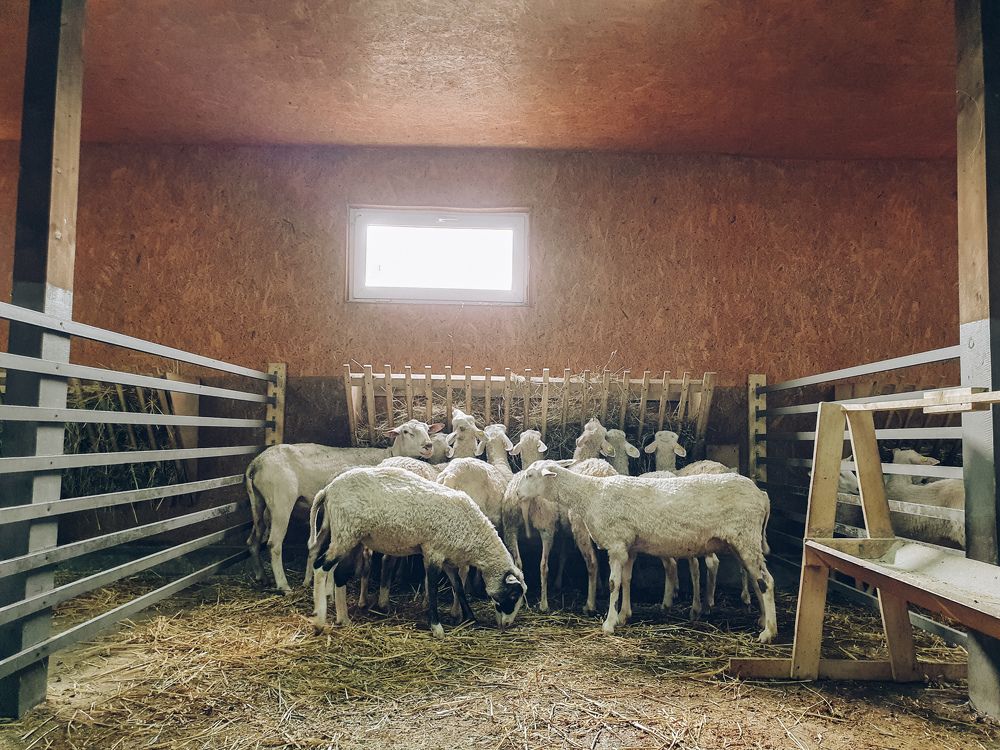 Photograph by Галина Примук