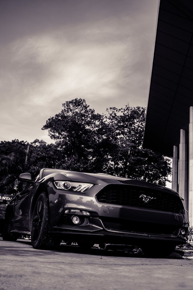 Photograph by Thusitha Dananjaya