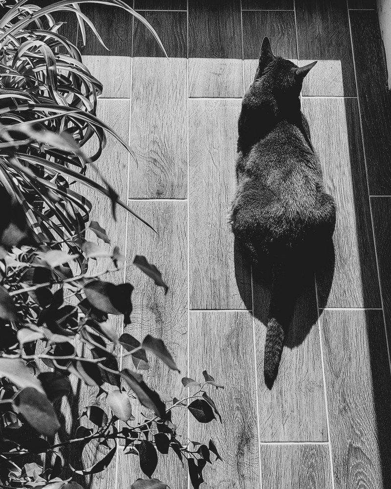 Photograph by Ника К