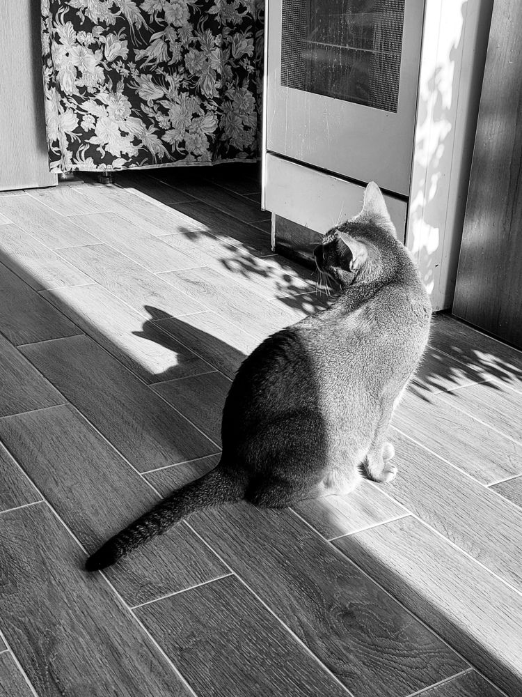 Photograph by Ника К