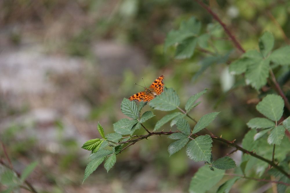 Photograph by Mahir Аkhmadov