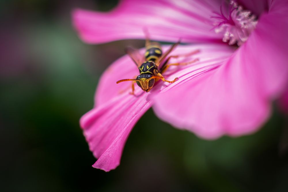 Photograph by Наталья Иванова