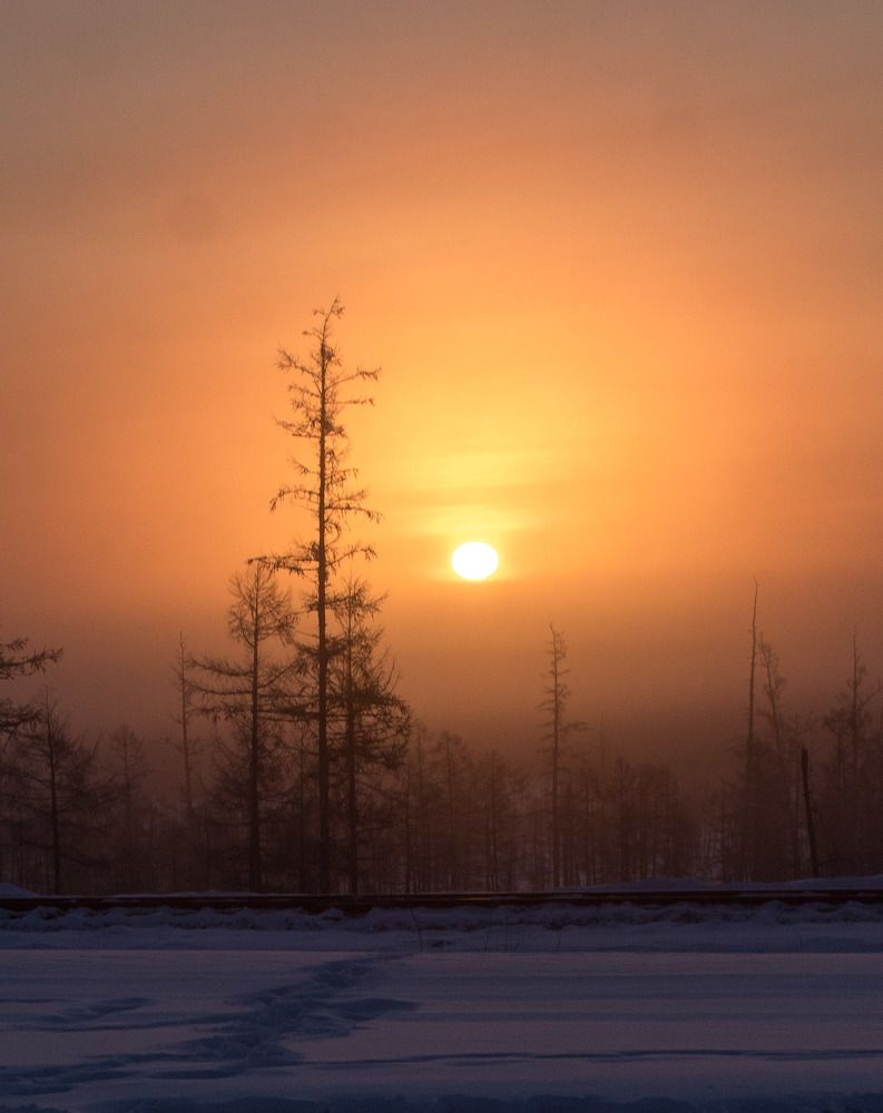 Photograph by 