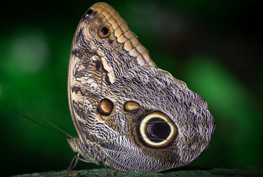 Photograph by Bevzenko Roman