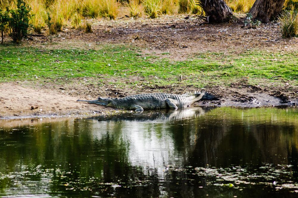 Photograph by Nikhil Raghuwanshi