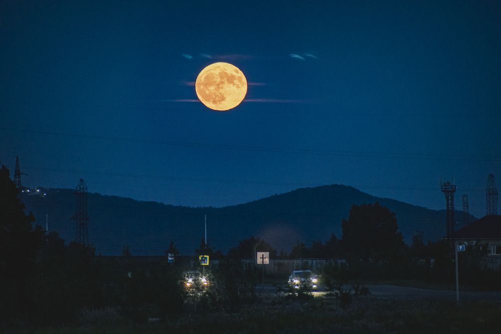 Photograph by 