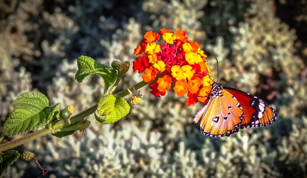 Photograph by Михаил Заброцкий