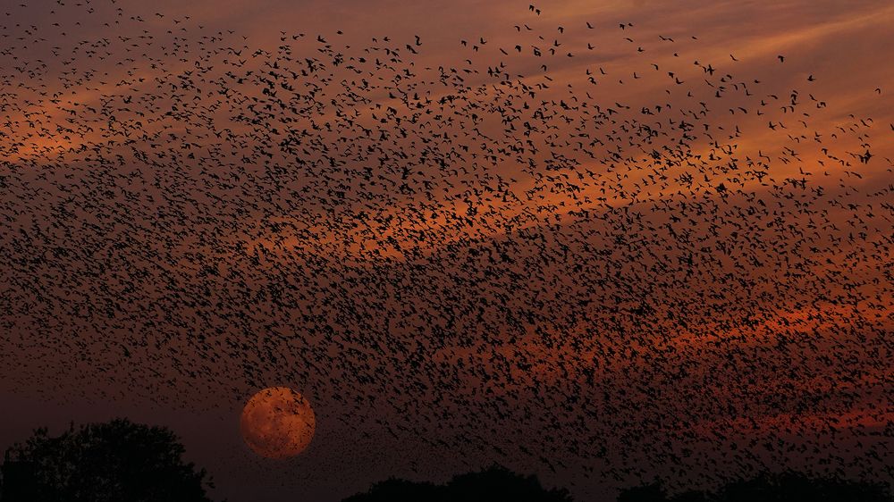 Photograph by Jignesh Chavda