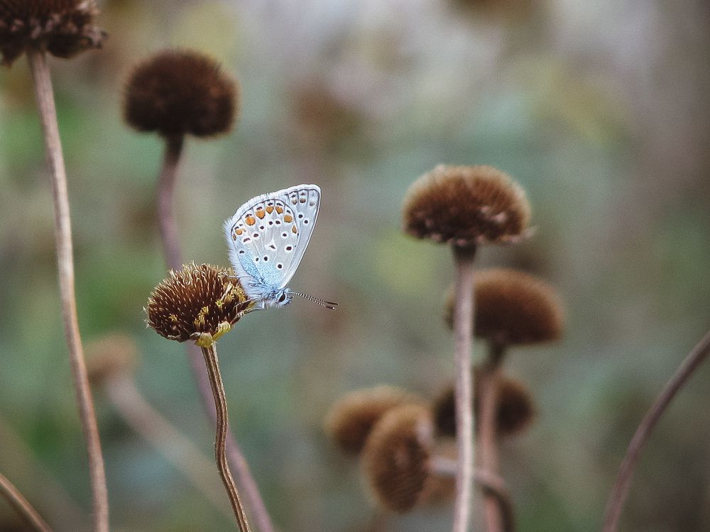 Photograph by Михаил Заброцкий