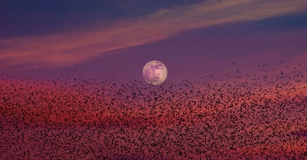 Photograph by Jignesh Chavda