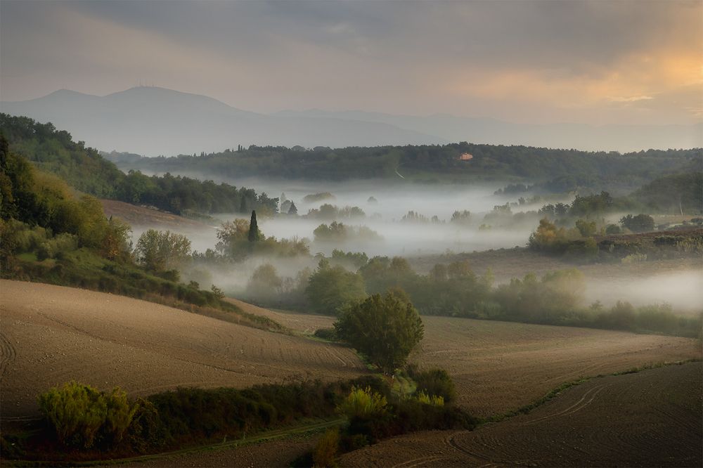 Photograph by andrea lorenzetti