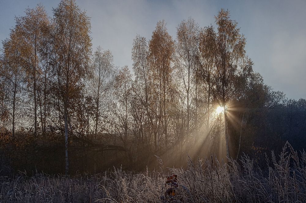 Photograph by Надежда Михайлина