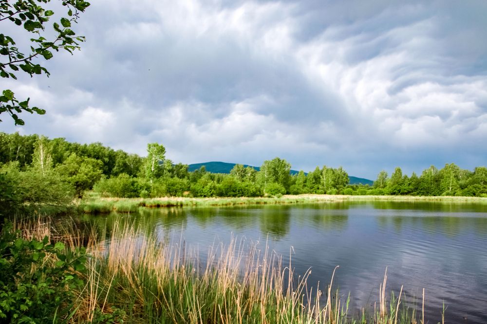 Photograph by Ярослав Шадрин