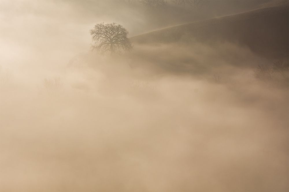 Photograph by andrea lorenzetti