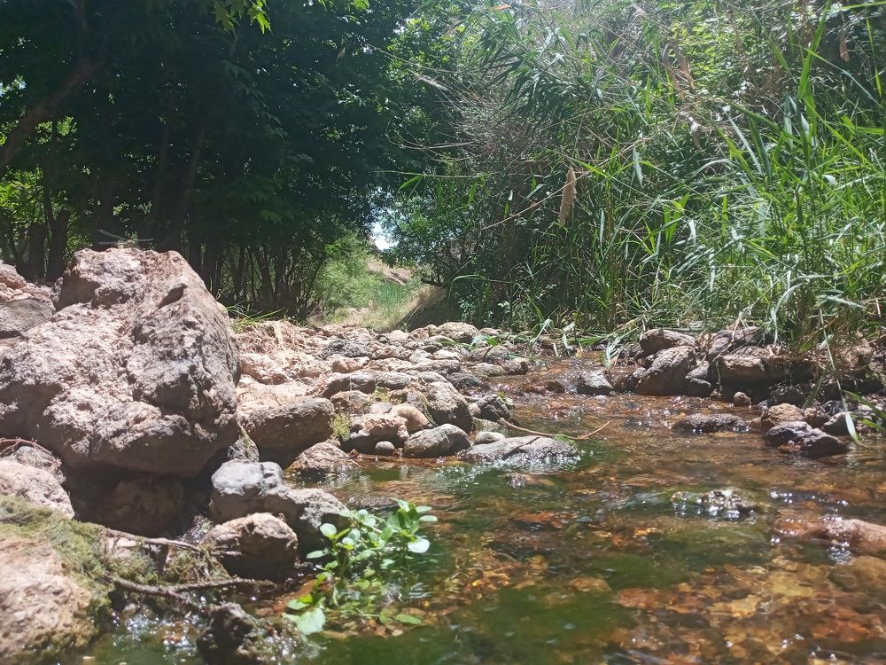 Photograph by Rahimi Rahim