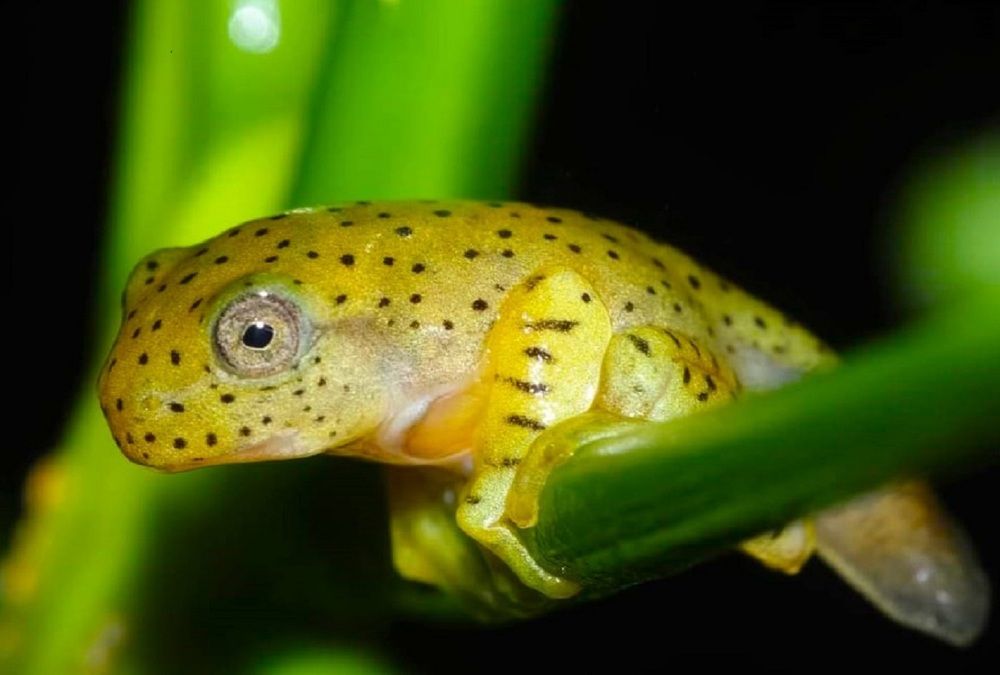 Photograph by Omkar Deshpande