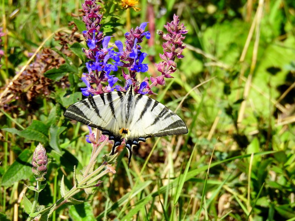 Photograph by Татьяна Калугина
