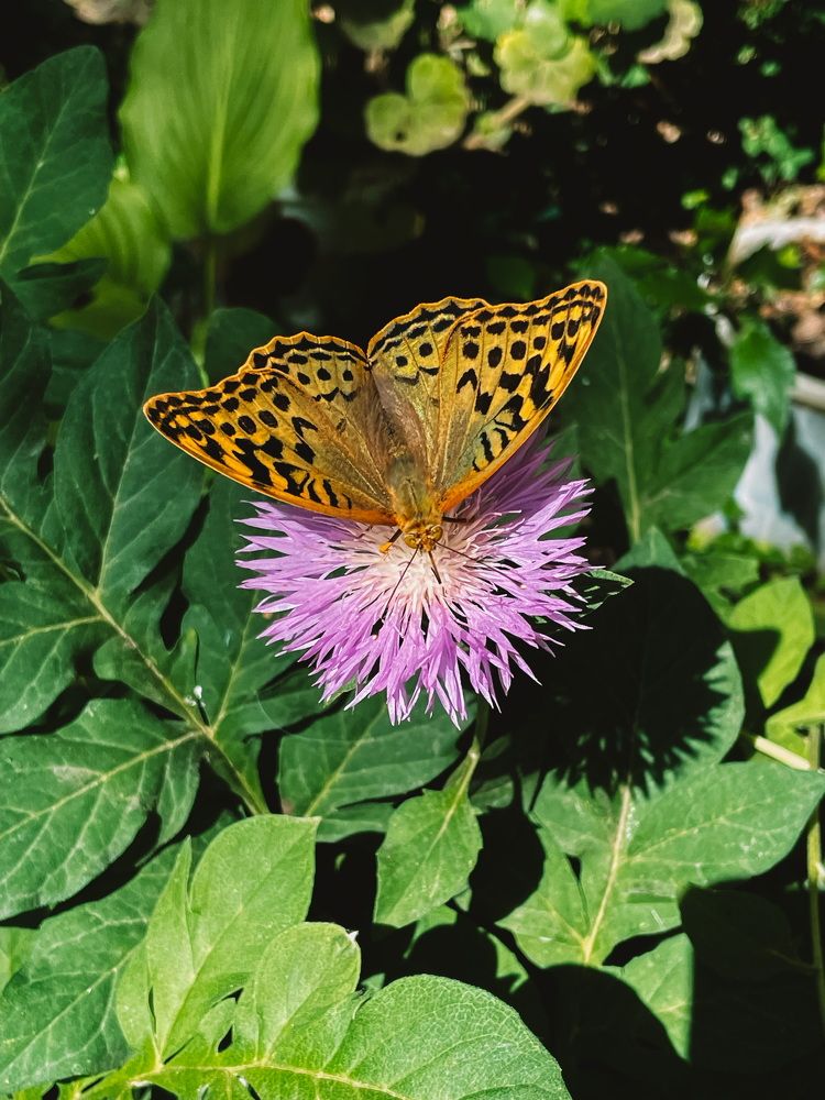 Photograph by Karina Mamliutova