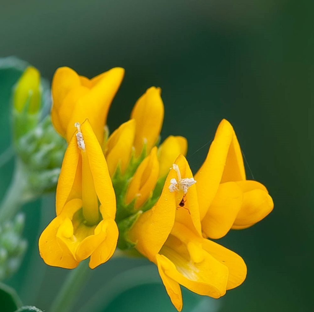 Фотография автора DIMITRIS MPAZIOTOPOULOS