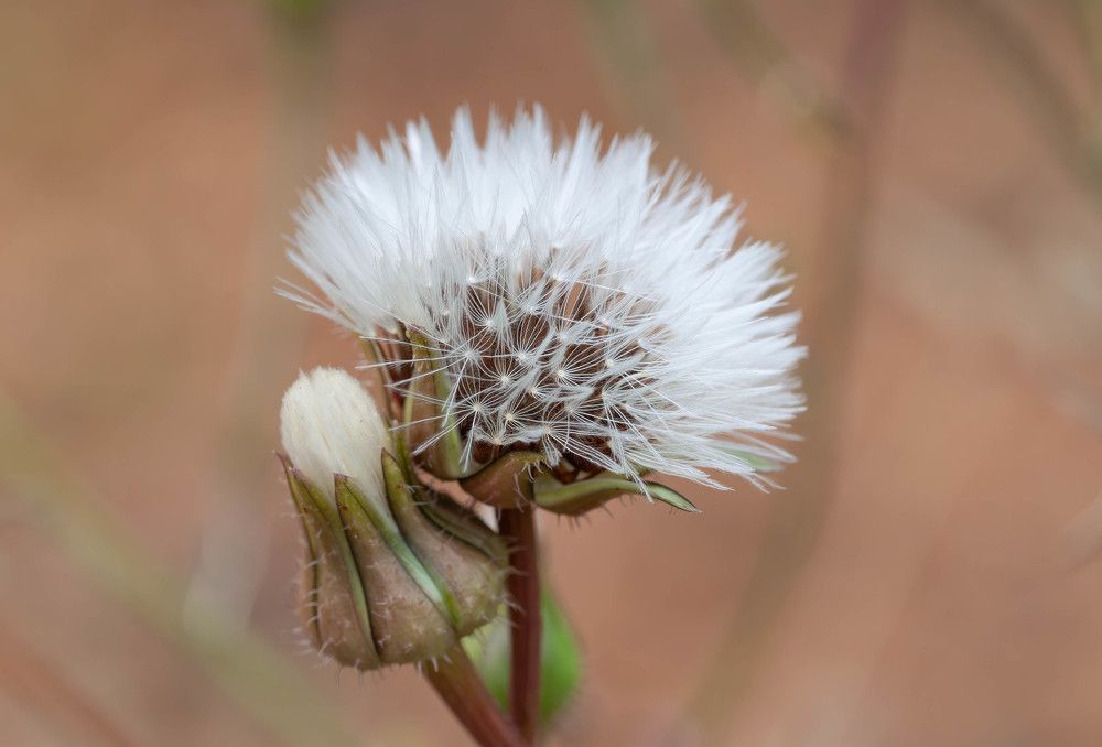 Фотография автора DIMITRIS MPAZIOTOPOULOS