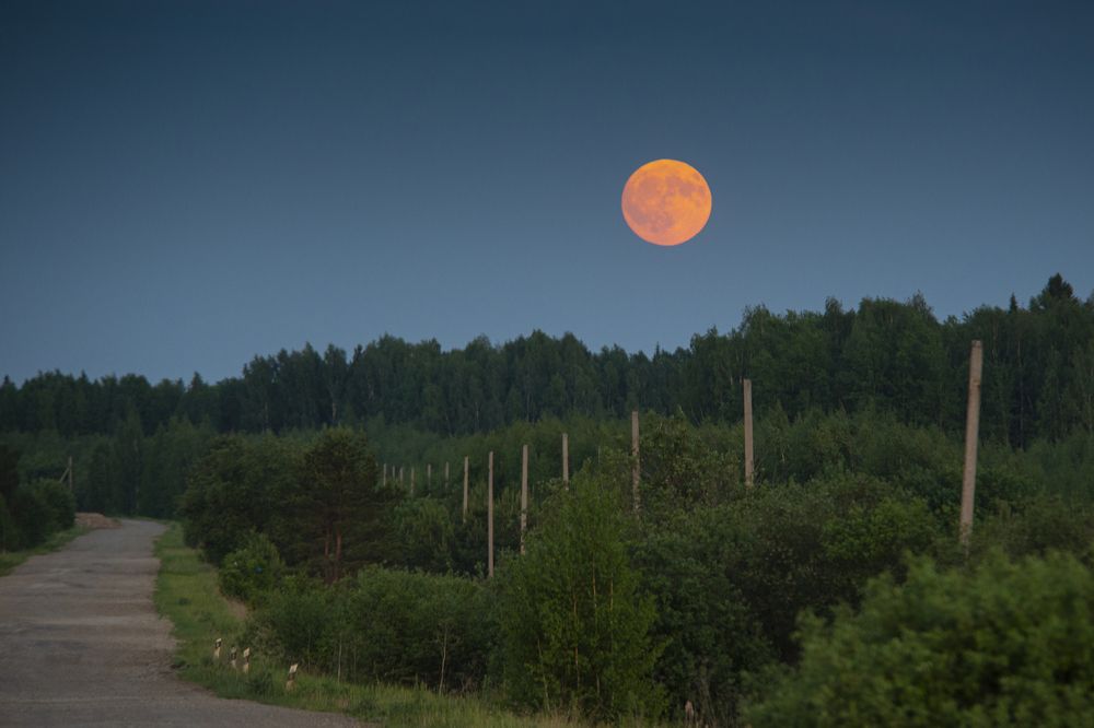 Photograph by Александр