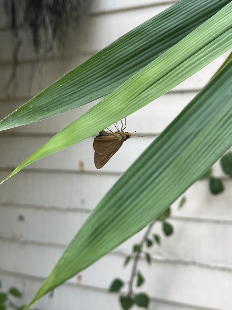 Photograph by Champ Jezreel Requina