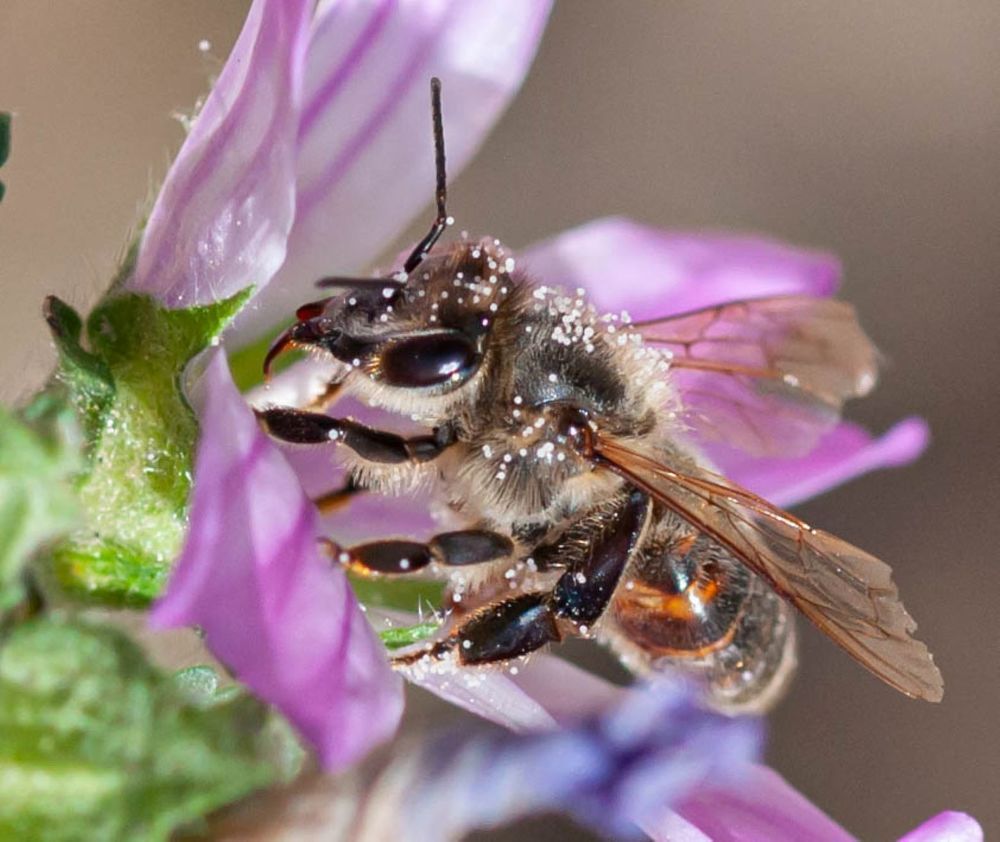 Фотография автора DIMITRIS MPAZIOTOPOULOS