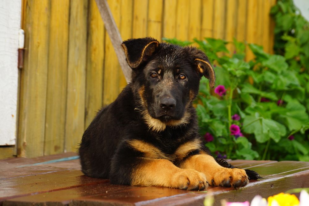 Photograph by Елена Титенская