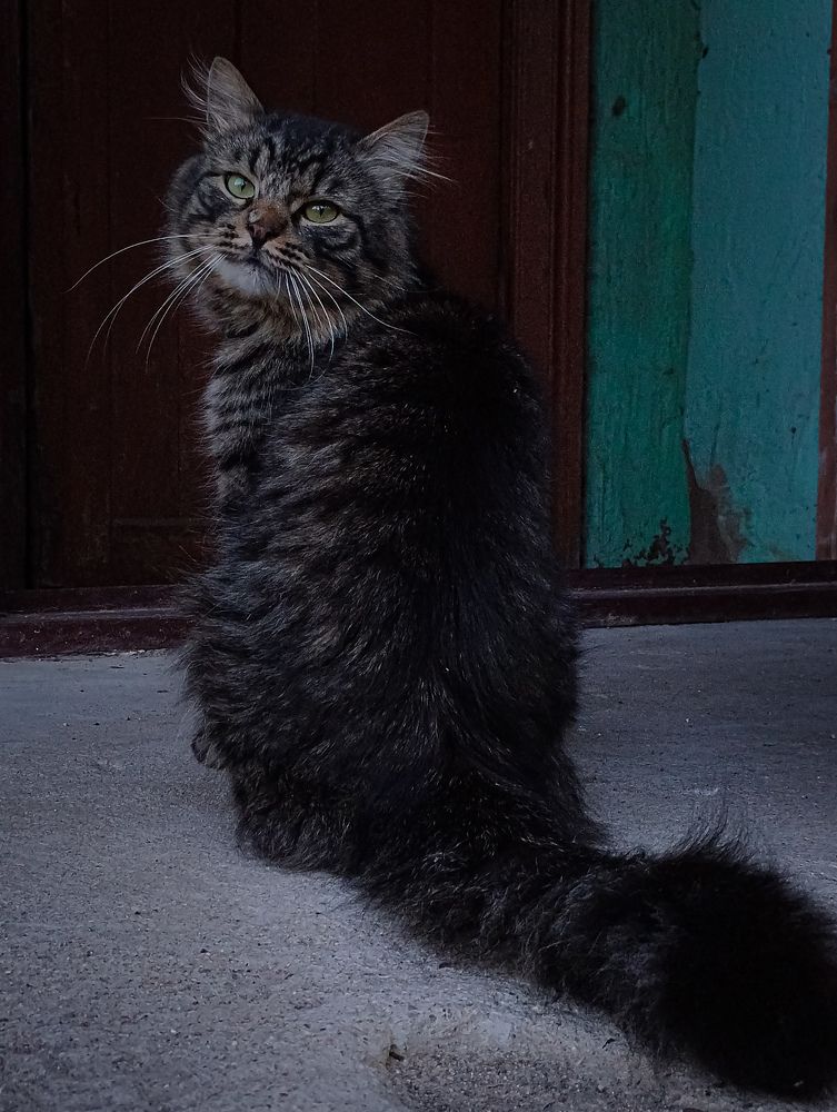 Photograph by Асхабова Юлия