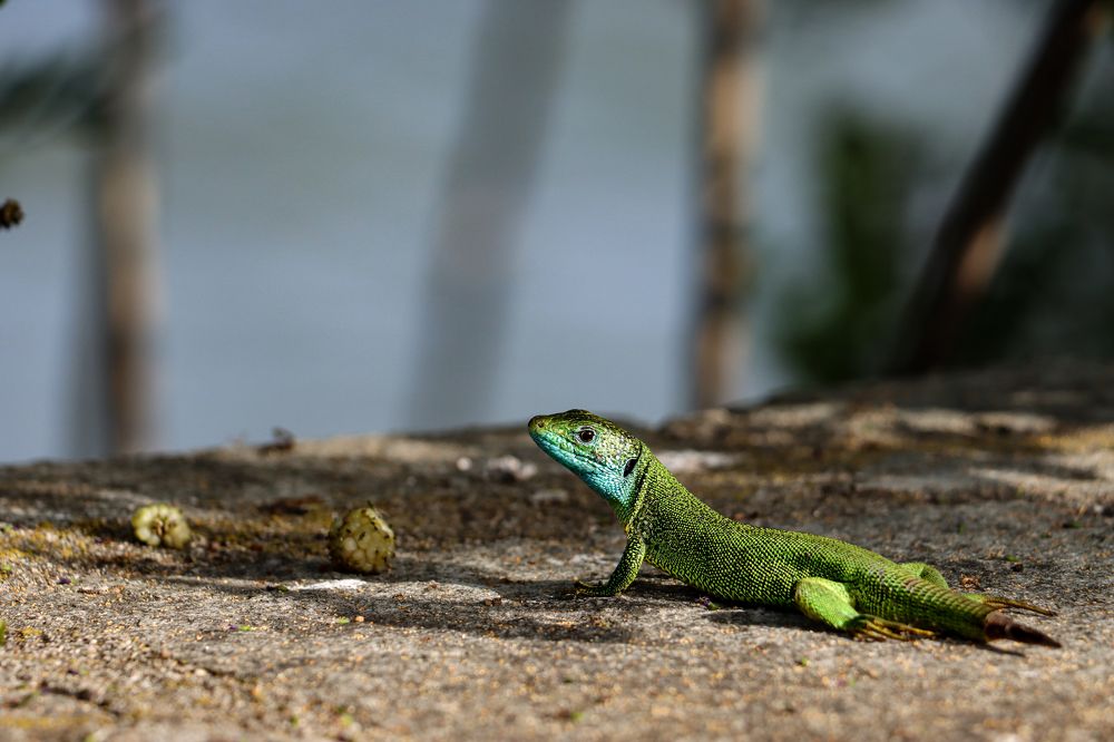 Photograph by Panagiotis Frattis
