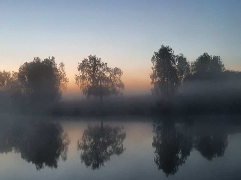 Photograph by Наталья