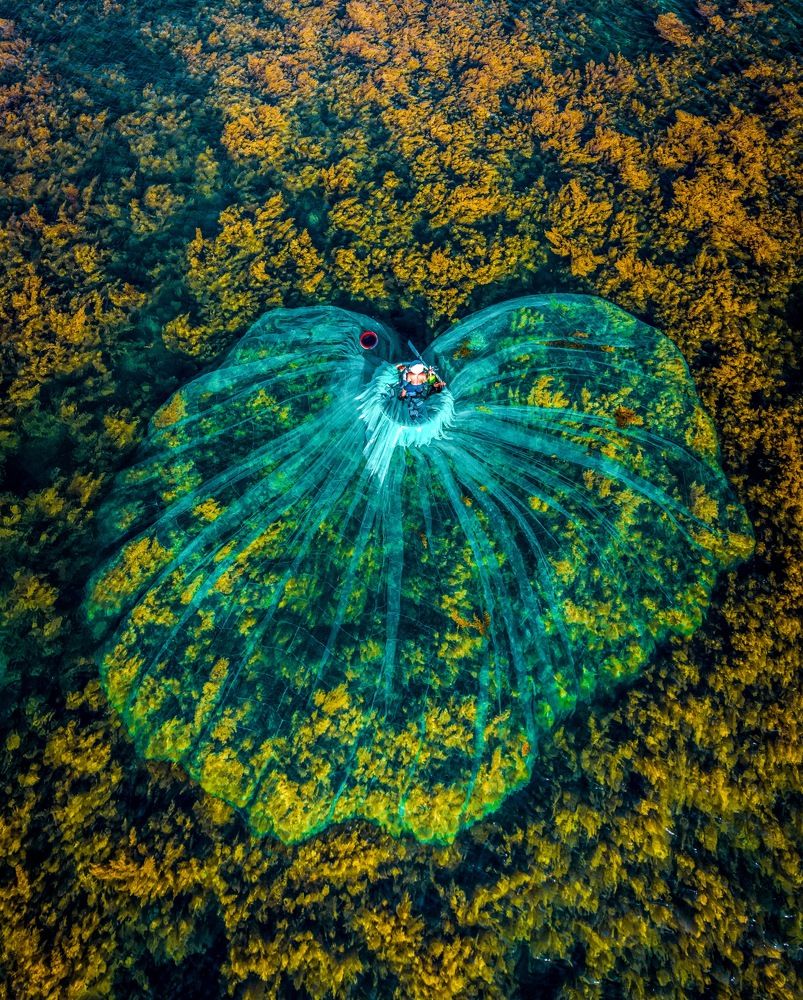 Photograph by Minh Tú Nguyễn