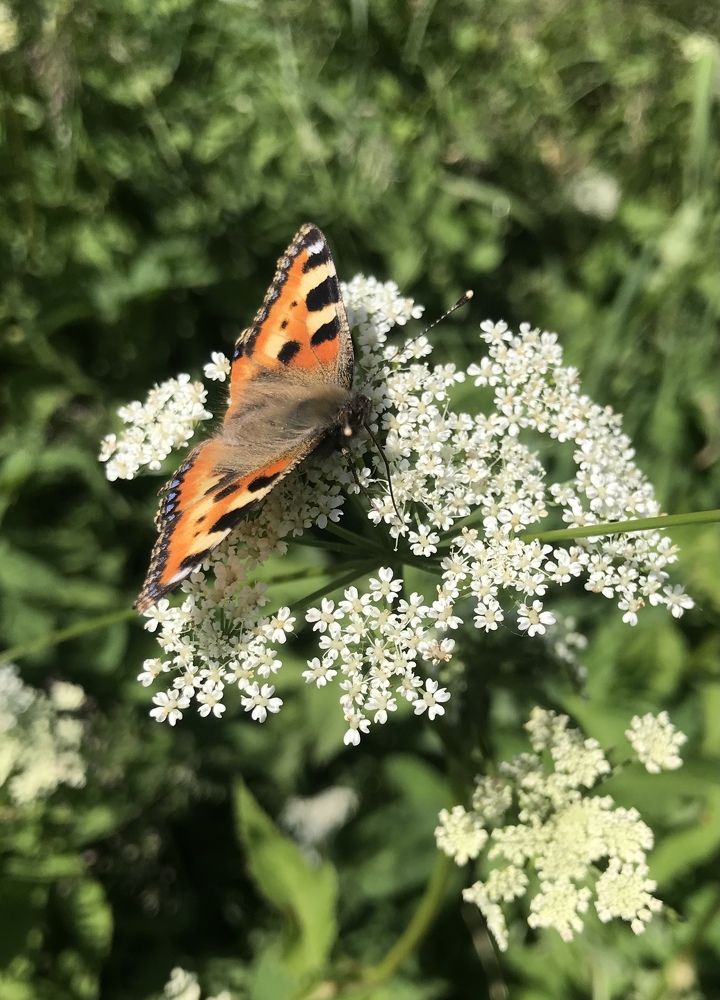 Photograph by Михаил Некрасов