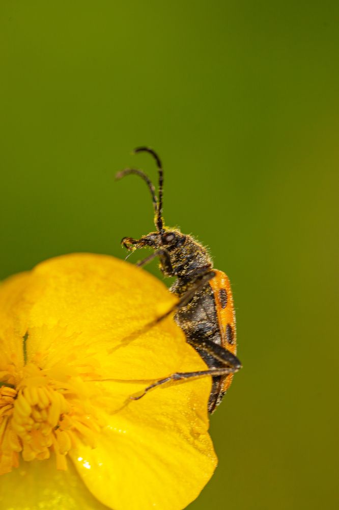 Photograph by Денис Дорошенко