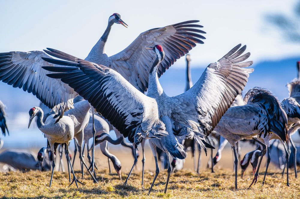 Photograph by Ujwal Pasupuleati