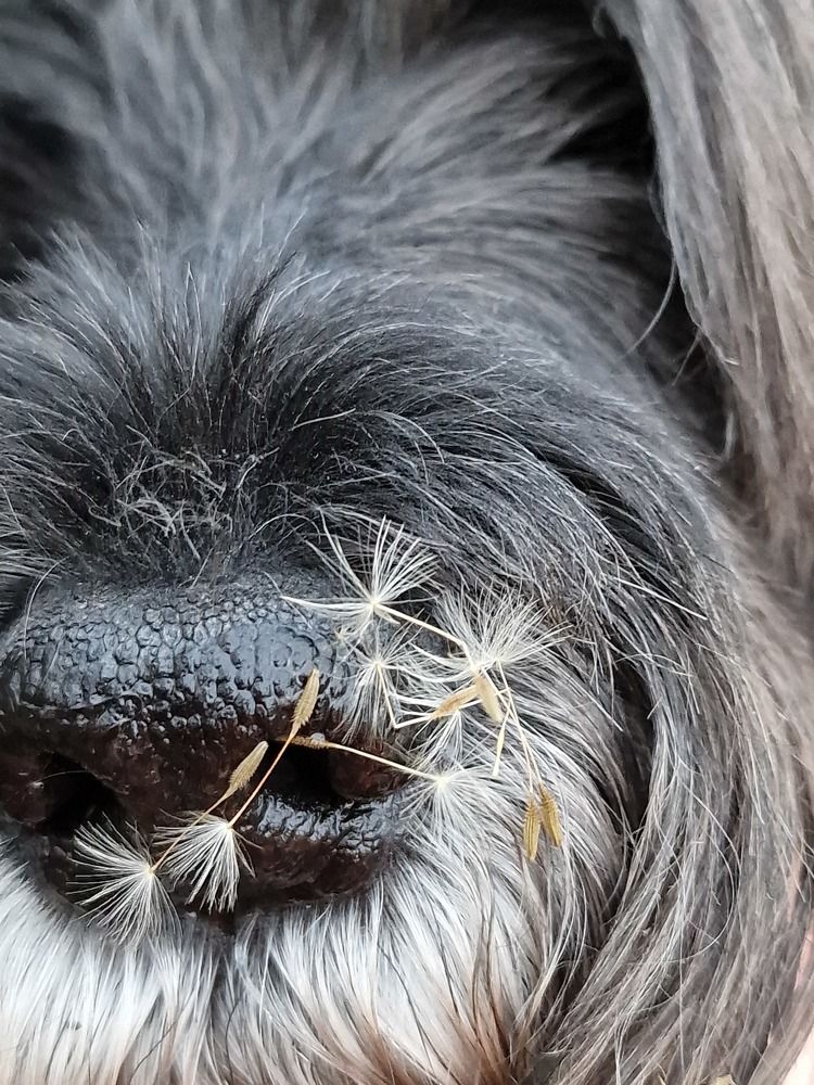 Photograph by Лариса Когтева