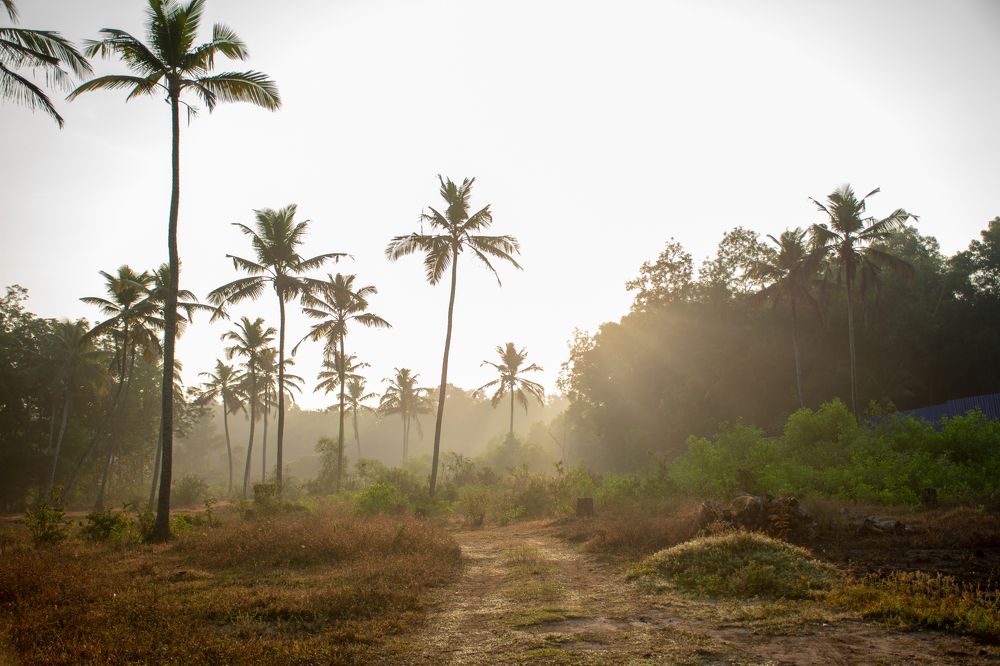 Photograph by Faisal Fasaludeen