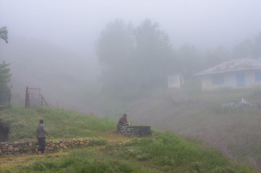 Photograph by Mina Mamdouhi