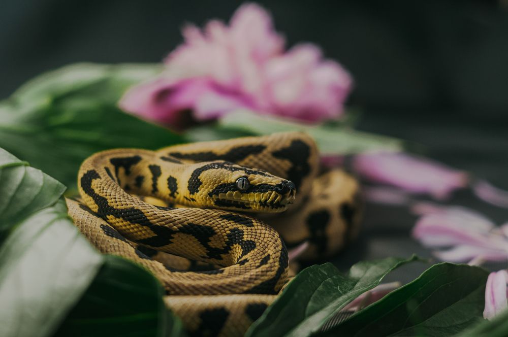 Photograph by Софья Лученкова