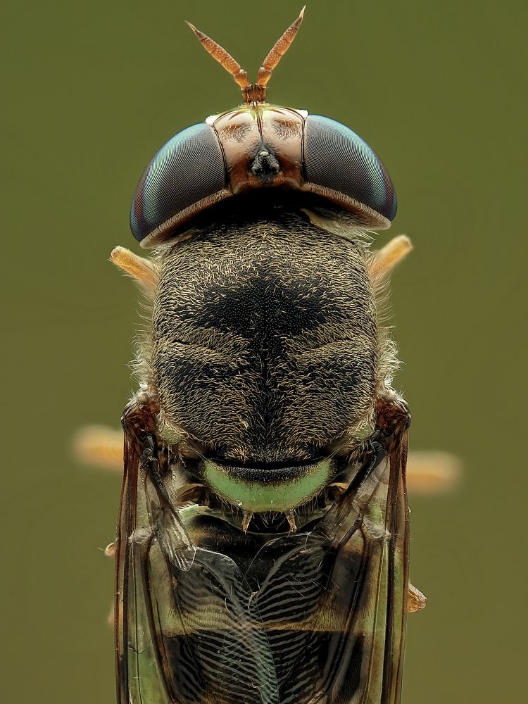 Photograph by Jacob Ng