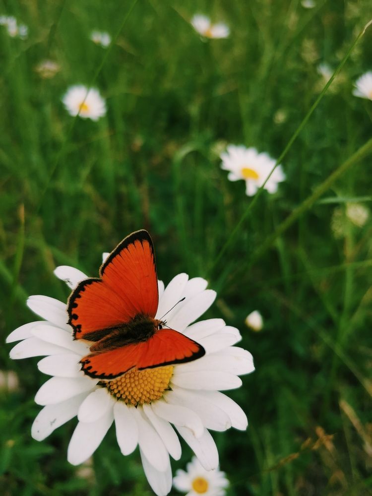 Photograph by Ольга Мажарук