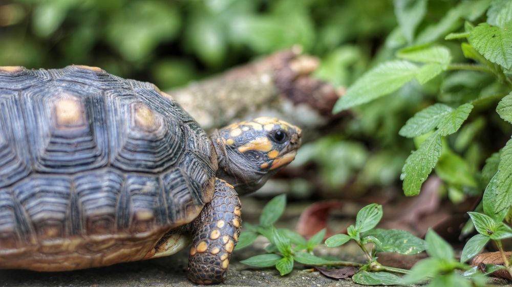 Photograph by nileydi Colmenarez