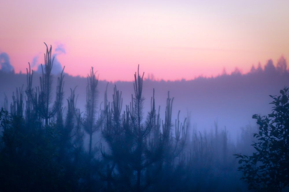 Photograph by Марина Кравцова