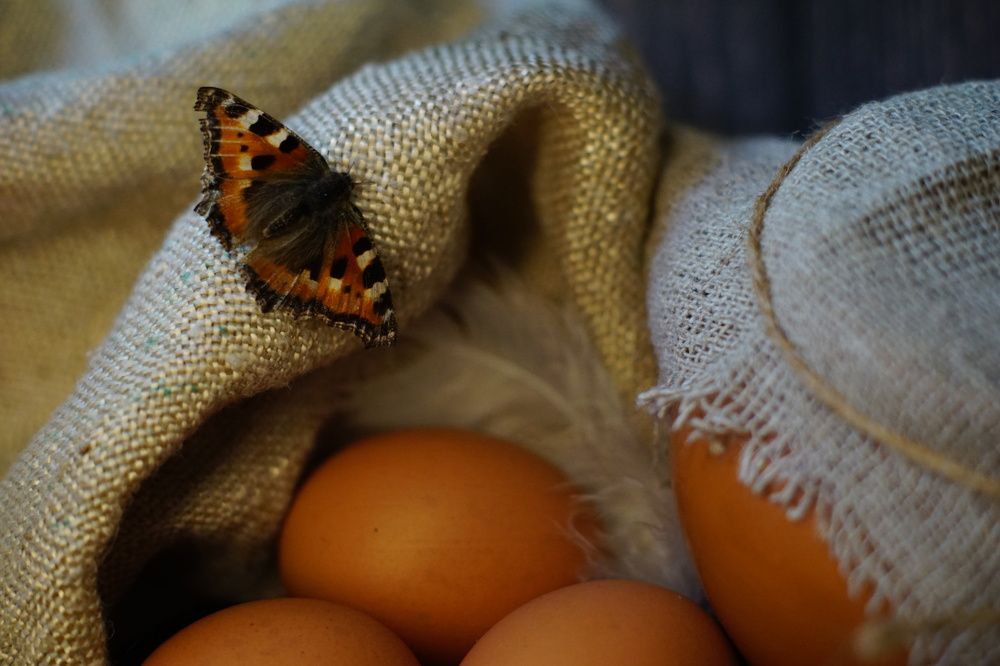 Photograph by Гюзель Даугуль