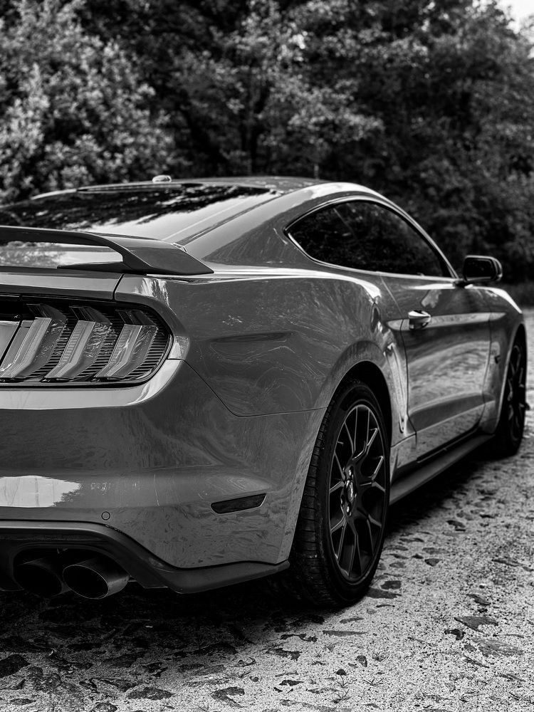 Фотография автора Екатерина Тельпук