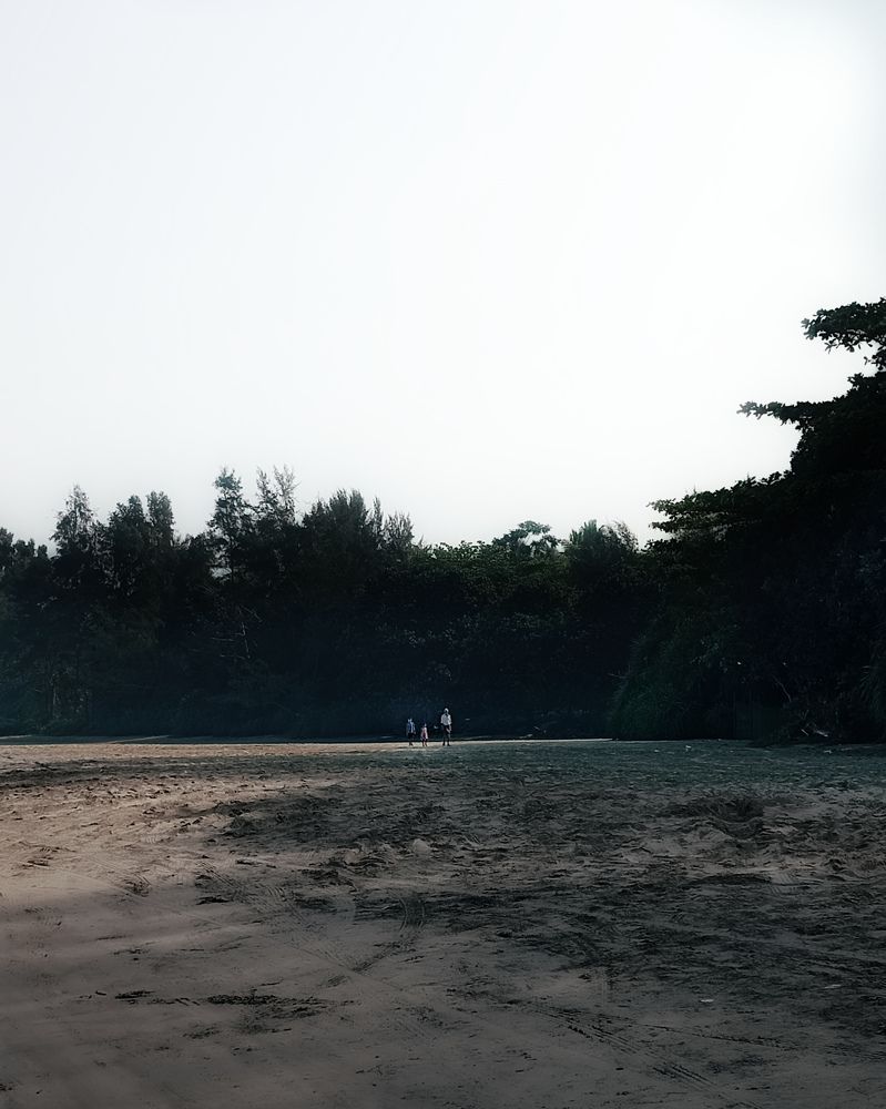 Photograph by VIJAYANAND M M