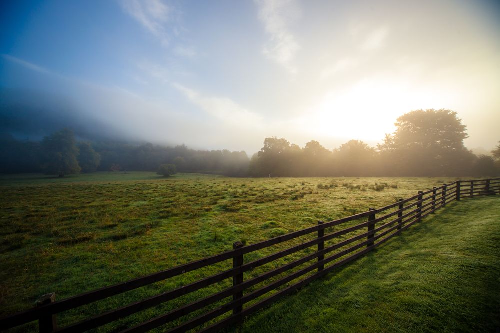 Фотография автора Dmitry Shterenberg