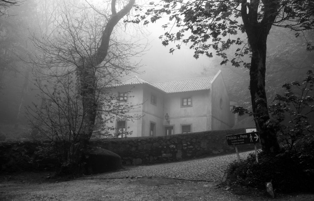 Фотография автора Dmitry Shterenberg