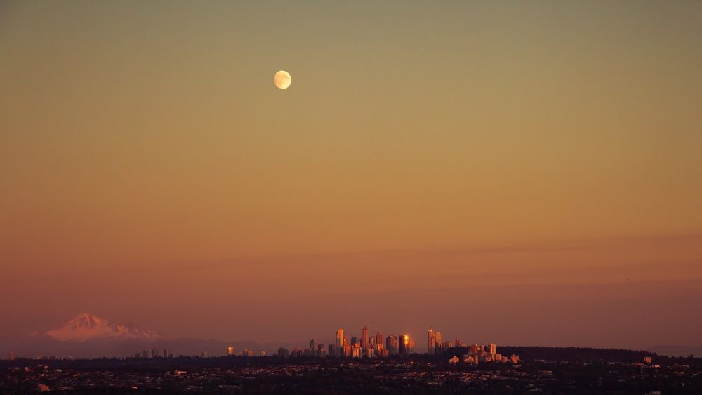 Фотография автора Anne Gabrielle Mougin